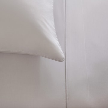 Jogo de Cama Queen Buddemeyer Basic Percalle 100% Algodão Penteado 180 Fios (4 Peças)