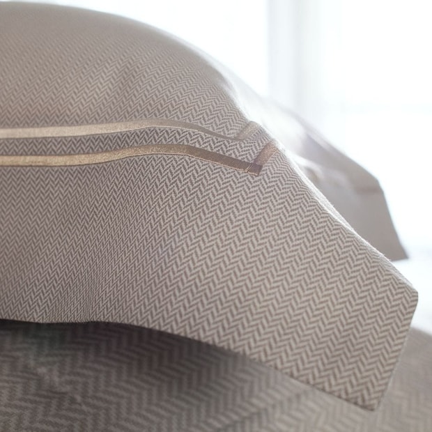 Jogo de Cama Queen Buddemeyer Bud Vision Otto 100% Algodão Fio Penteado Cetim 300 Fios (4 Peças)