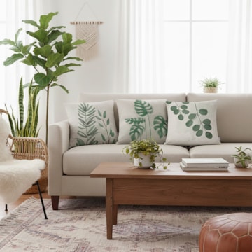 Kit 3 Peças Capa de Almofada Floral Botânica Aveludado com Zíper 43cm x 43cm