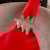 Pinheirinho