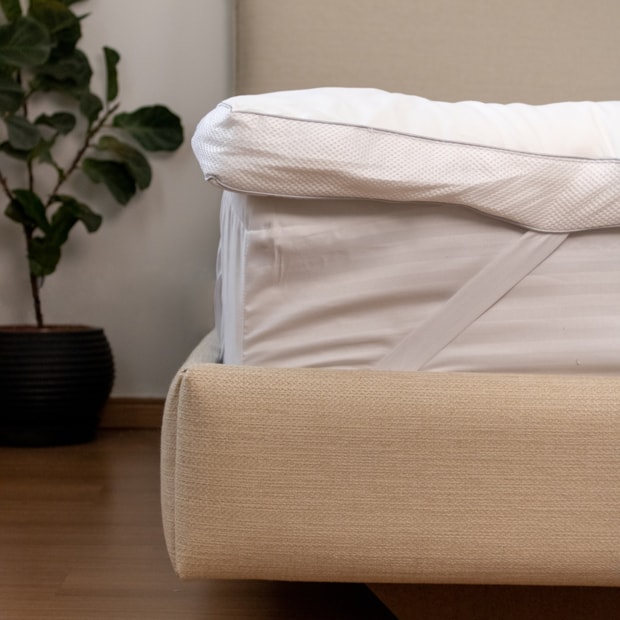 image_d4bf3003-c49b-486d-99ca-7b4c12bdfc7a