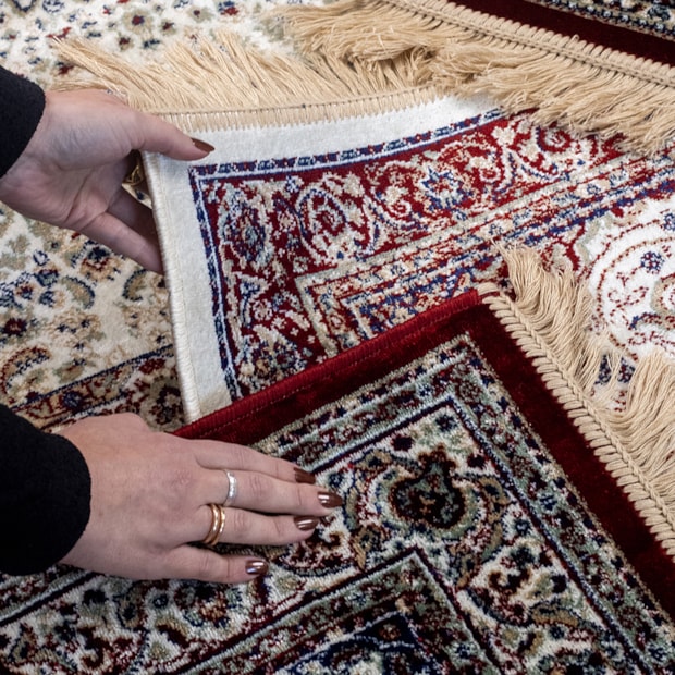 image_871e7db0-8cee-496b-b3a6-7597caaaa080