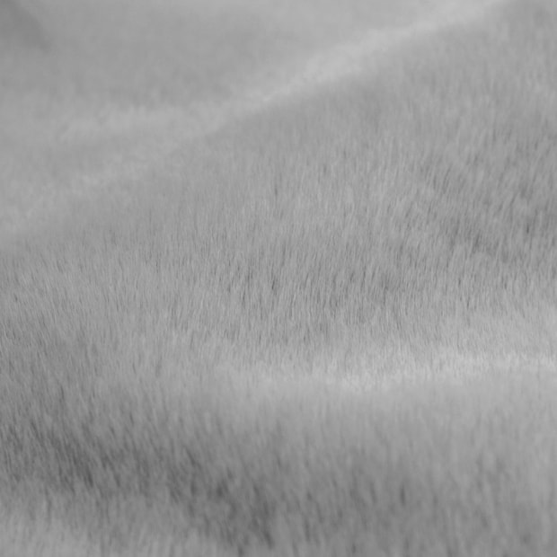 Tapete Passadeira para Quarto Wabby Antiderrapante 60cm x 1,80m