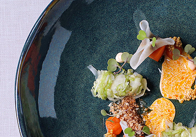 Aparelho de Jantar Porto Brasil Bio Oceano