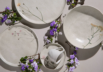 Aparelho de Jantar Porto Brasil Bio Campestre