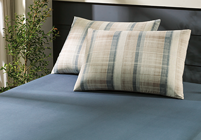 Jogo de Cama Altenburg Linen Simples