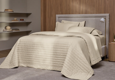 Kit Colcha King Size Trussardi Monteleone